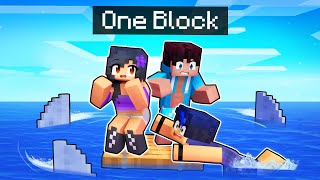 Minecraft RAFT But There IS ONLY ONE BLOCK!