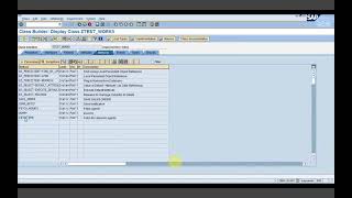 SAP Workflow Class11 ORG