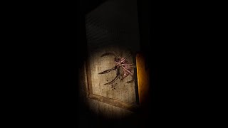 We hope youre not afraid of creepy crawlers..