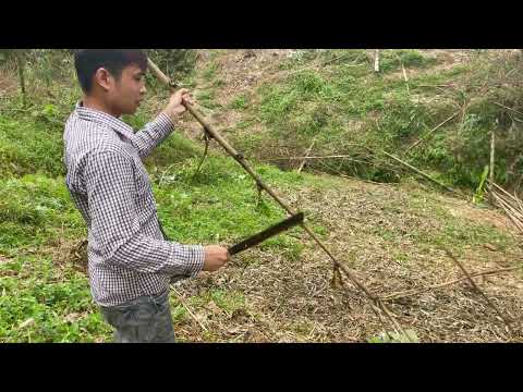 Garden Restoration -part 2/ Spicy stir-fried Frog with bamboo shots /A humble meal in rural vietnam.