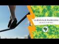 "O bêbado e a equilibrista" (Elis Regina) en Esperanto