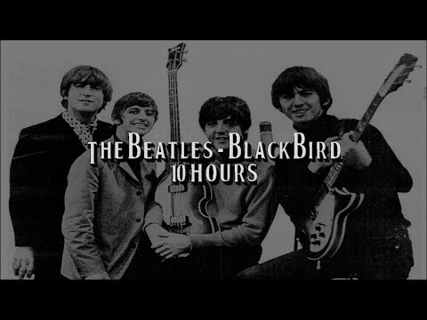 Blackbird by The Beatles for 10 Hours