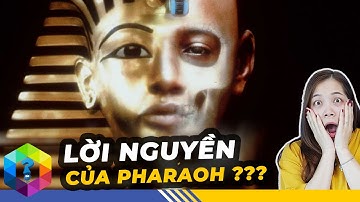 Giật Mình 4 Thứ Bí Ẩn Và Kỳ Lạ Được Tìm Thấy Ở Ai Cập Cổ Đại - Top 1 Khám Phá