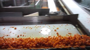 Carrot dice sorting machine Genius - TOMRA Sorting