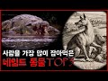인류 역사상 사람을 가장 많이 잡아먹은 네임드 동물 TOP 5 [무서운 이야기][괴담] - 숫노루TV