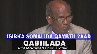 ISIRKA SOMALIDA PART 2 - QABIILADA- Prof. Maxamed Cabdi Gaandi