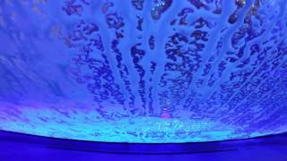 GoPro Car Wash: Tidal Wave Revisit at Night in 4K