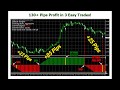 Forex Dominator - Live $1598.3 With Forex Dominator System