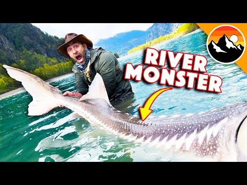 I Caught a 300lb River Monster!