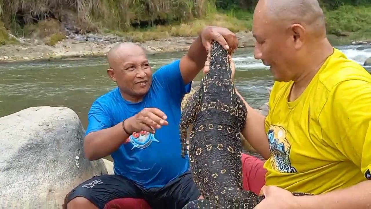 Perjuangan menangkap biawak !! dagingnya lembut 😋😋 !! Mantap !!
