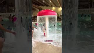 I hate Great Wolf Lodge but this one is best of the worst indoor water park hotels grapevine texas