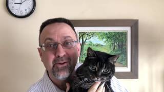 Daylight Saving 2019 - Spring Forward 1 Hour March 10, 2019 - Fall Back 1 Hour November 3, 2019