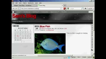 Video 14 - How to Use WordPress Widgets in The Sidebar