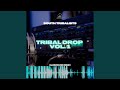 Tribal drop vol 1 clubzound remix