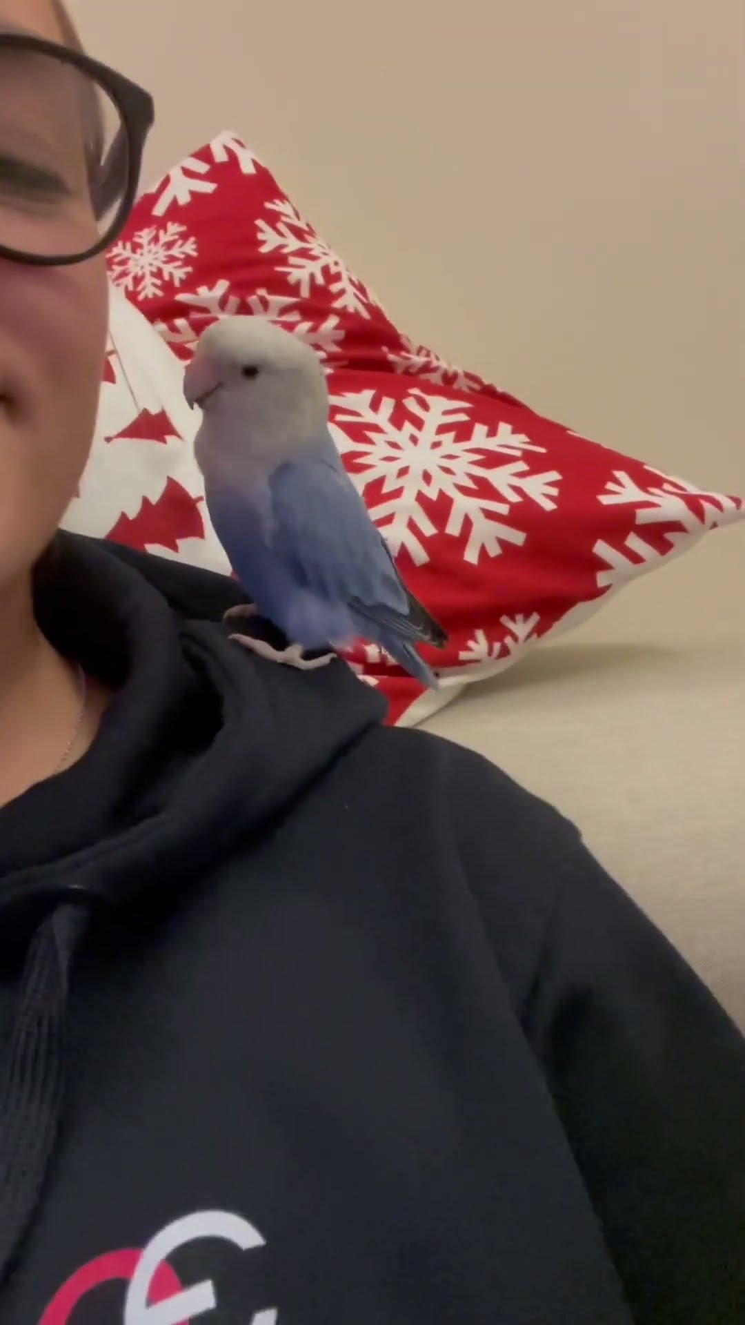 Parakeet Cuddles Owner || ViralHog #diydoghouse