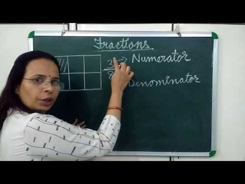 Numerator and Denominator ||What is numerator and denominator || Planet Maths