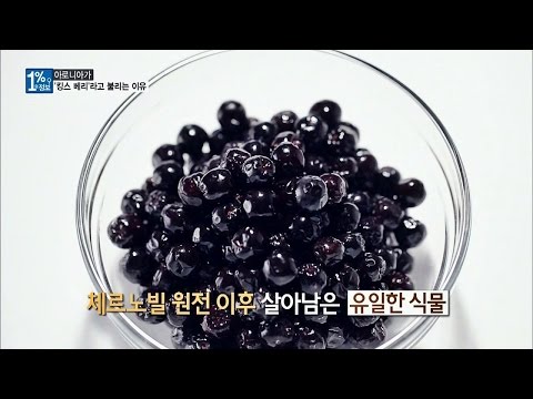 킹스 베리 '아로니아', 탱탱한 피부 & 주름 예방에 효과적! 1%의 정보 2회
