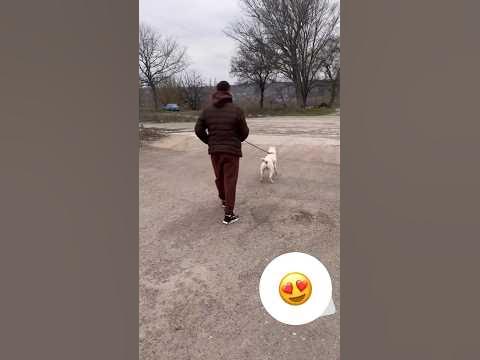 СТАФФ В ДЕЛЕ! - YouTube