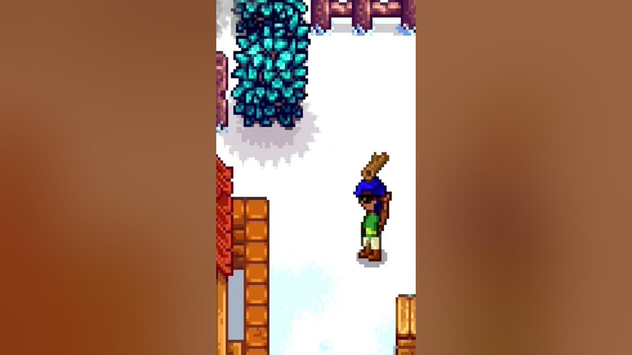 playing-a-guessing-game-with-bremaboo-the-cat-in-stardew-valley