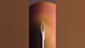 ASMR Thumbs & syringe needle Close-Up macro #shorts #satisfying #closeup #asmr #macro #Thumbs