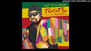 Toots &amp; The Maytals  Stand Accused