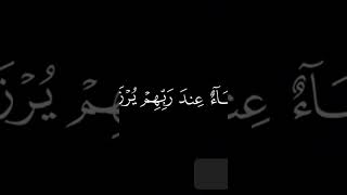 قران كريم بصوت جميل #gogoshow #اكسبلور #المصحف #subscribe #لايك #الرحمن #جوجوشو