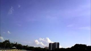 Neolofa Practice Run