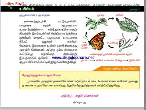 9th Standard Science Book Samacheer Kalvi