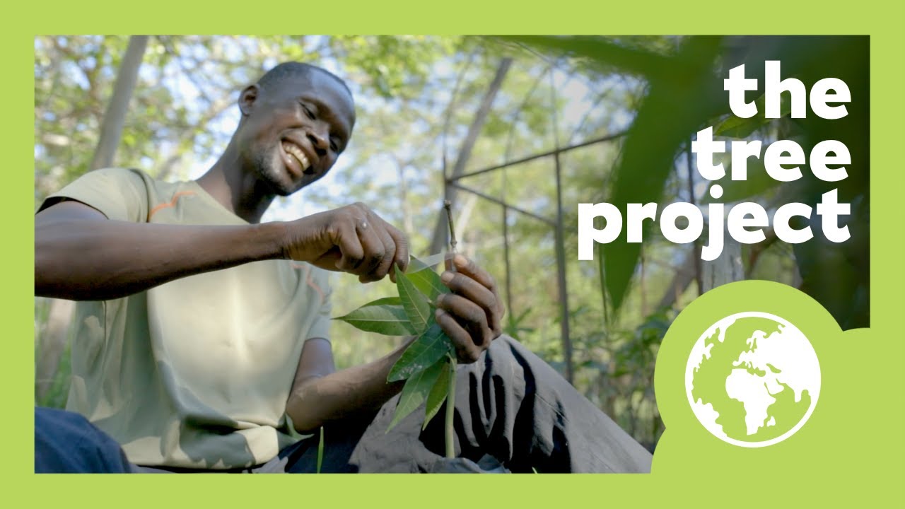 The Tree Project, supported by One Water - YouTube