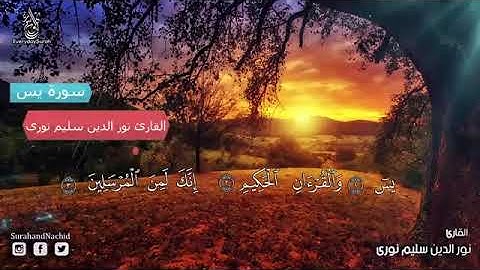 سورة يس نور الدين سليم