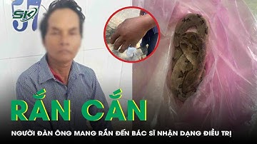 Bị rắn cắn sưng vù bàn tay, người đàn ông mang cả rắn đến viện để bác sĩ nhận dạng | SKĐS