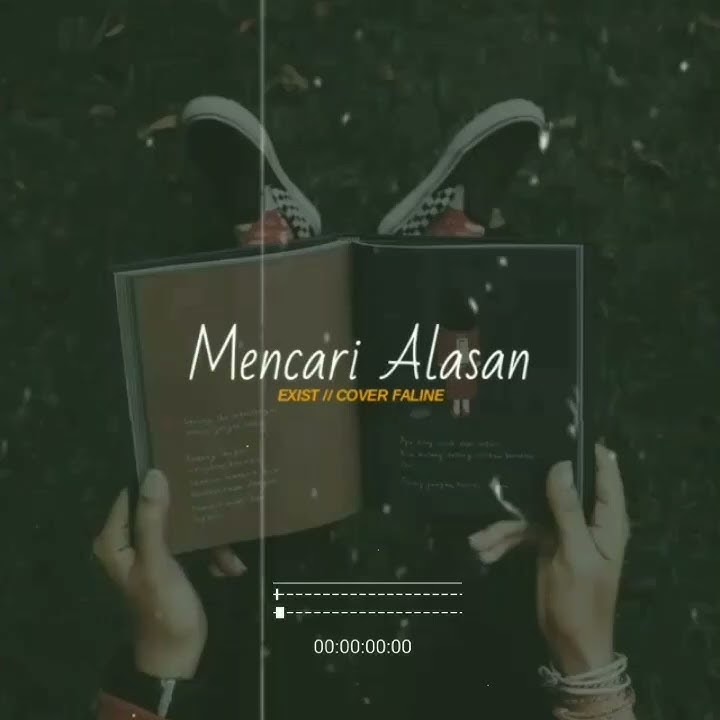 Story WA mencari alasan