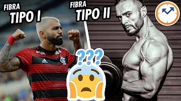 Quais são os tipos de fibras musculares?