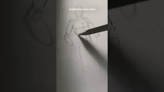 Cómo dibujar anatomía masculina #drawing #anatomy