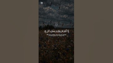 أكتب شيء تؤجر عليه || قران كريم للراحة النفسية