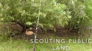 SCOUTING FLORIDA WMA PRE SEASON HUNTING TIPS SCOUTING FLORIDA WMA PRE SEASON HUNTING TIPS