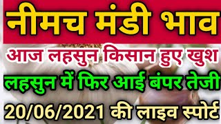 20 जून 2021 नीमच मंडी लहसुन भाव| आज लहसुन बाजार खुला तेजी के साथ आज लहसुन में जोरदार तेजी लाइव| नीमच screenshot 3
