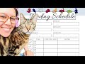 Here's How Often to Feed a Cat (PLUS Cat Feeding Schedule Chart)