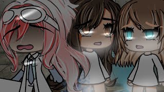 [🖤]Just a simaltion[🖤] Trend/meme//ft.@•pixel_peach•