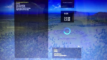 Cities Skylines glitch. Is anyone else affected?