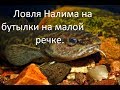 Ловля налима на бутылки на малой речке