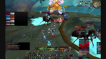 Trial of the Grand Crusader 10 - Anub