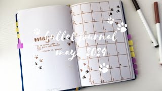 🐾 bullet journal mayo 2024 I minimalista  (eng sub) 🐾