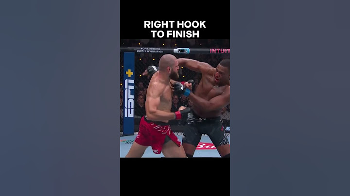 Jiri vs Hill Final Sequence Leading to KO