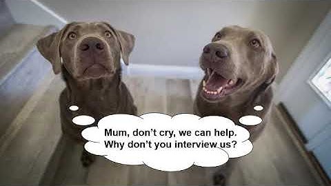 NSF I-Corps: Final Video - RadiSens Technologies (2042)