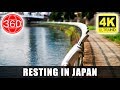 [4K 360°] Resting and Meditating in Utsunomiya, Tochigi || JAPAN 360
