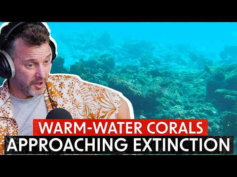 The World’s First Climate Tipping Point Has Been Triggered