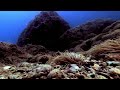 UNDERWATER SOURCE / HEALING FREQUENCIES, UNDERWATER AMBIENCE, SEA BOTTOM AMBIENT, SEA FLOOR AMBIENCE