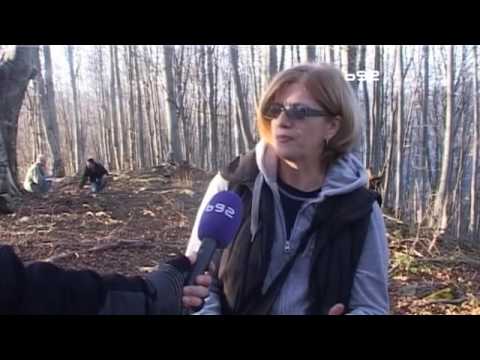 Video: Arheolozi Su Otkrili 