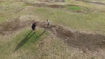 Phantom 3 Advanced crash